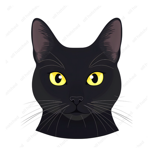 Black Cat PNG